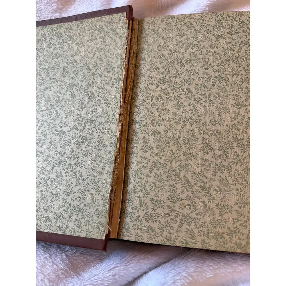 Antique Our Martyred President James A Garfield Illustrated History Book RARE
